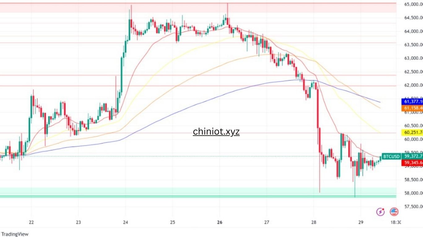 Bitcoin Price: BTC to USD Increasing Price Index and Live Chart 2024